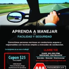 AAA Pan American Driving School