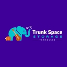 Trunk Space Storage