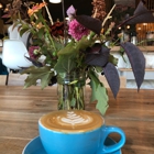 Treeline Coffee Roasters