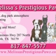 Melissa's Prestigious Pawz