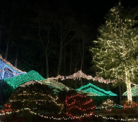 The Lights of Christmas - Stanwood, WA