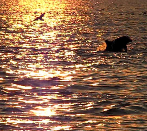 Jekyll Island Boat Tours - Jekyll Island, GA