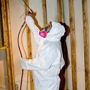 Eradicator Mold Remediation Services