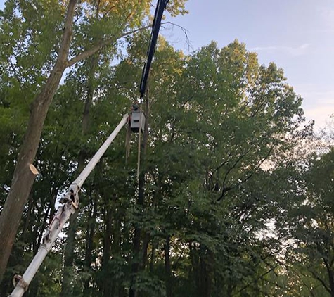 Todds Tree Service Inc - Mantua, OH