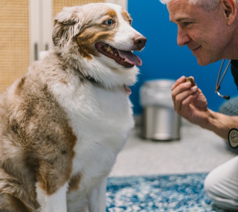 PetVet365 Pet Hospital Denver/Somerset - Aurora, CO