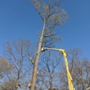 Axperttreeservice - Tree Service