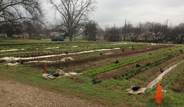 Boggy Creek Farm - Austin, TX