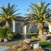 Calmelats Tree Service & Landscaping gallery