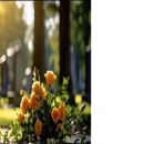 Whatley Cremation & Funeral Planning Services - Crematories