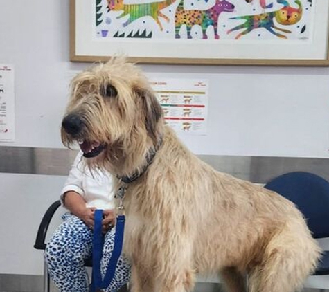 Colonel Light Veterinary Clinic - Colonel Light Gardens, SA