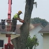 Hudson Tree Service gallery