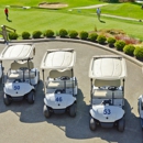 Hot Rod Golf Carts - Sporting Goods