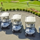 Hot Rod Golf Carts