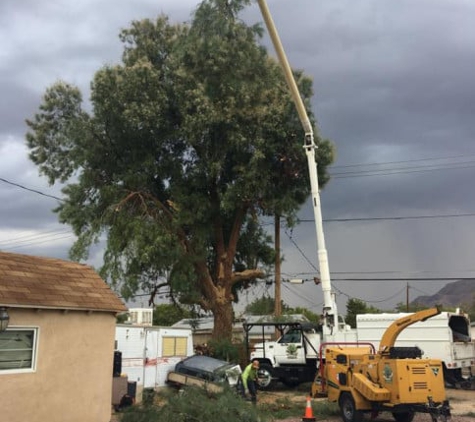 Rocky's Tree Service - Las Vegas, NV