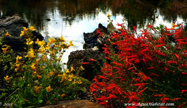 Ponds by Biologists - West Linn, OR