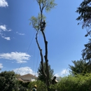 All Seasons Tree Care Inc - Arborists