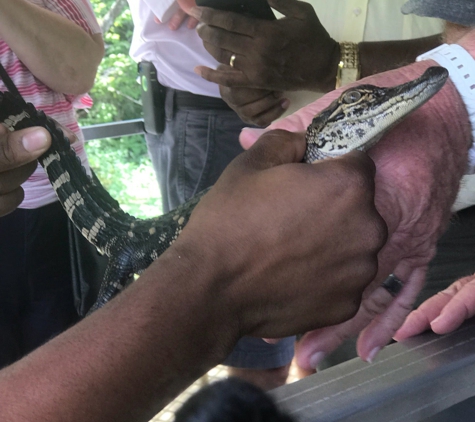 Ultimate Swamp Adventures - Westwego, LA