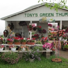 Tony's Green Thumb