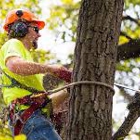 Jesse James Tree Service & Landscape