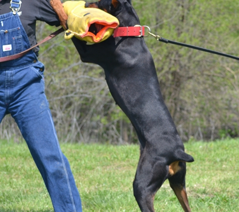 K-9 Masters Dog Academy - Colorado Springs, CO