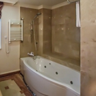 Alpine Bathtub Liner