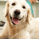 Platte  Woods Animal Hospital - Veterinarians