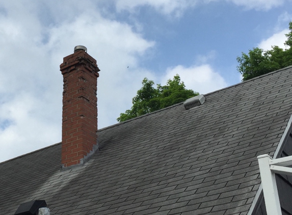 Above & Beyond Tree and Shrubbery Service - South Bend, IN. Before roof cleaning (2016)