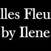 Belles Fleures by Ilene gallery