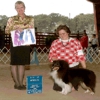 ALL-STAR SHELTIES KENNEL gallery