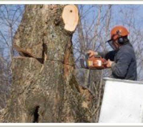 Affordable Tree Service - Laurel, MD