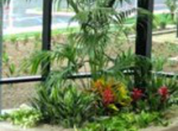 Creative Interior Plantscapes - Burlington, MA