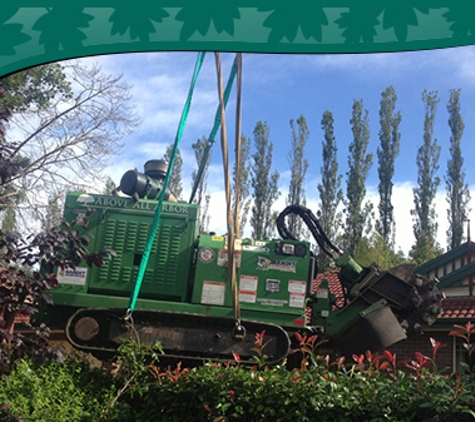 Above All Arbor - Colo Vale, NSW. We Can Determine The Problem And Find A Solution