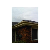 Gallery Image Number 5