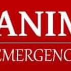 Animal Emergency Clinic