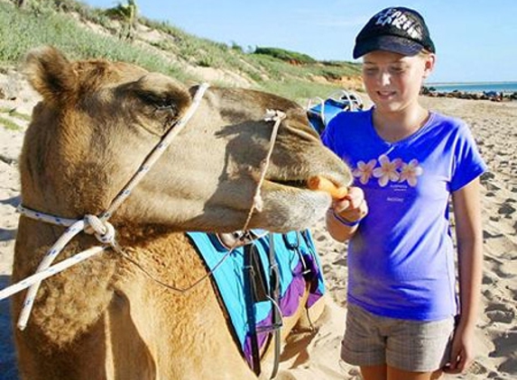 Broome Camel Safaris - Bilingurr, WA. Broome Camel Safari's