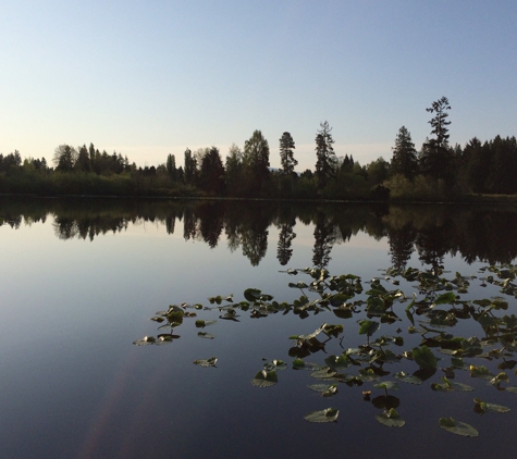 Larsen Lake Blueberry Farm - Bellevue, WA