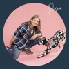 Go Anywhere Dog - Puppy Training School gallery