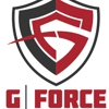 G-Force Security gallery