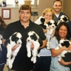 Ash Creek Animal Hospital & Spa gallery