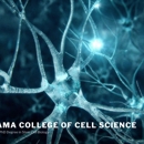 Panama College of Cell Science - Colleges & Universities