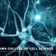 Panama College of Cell Science
