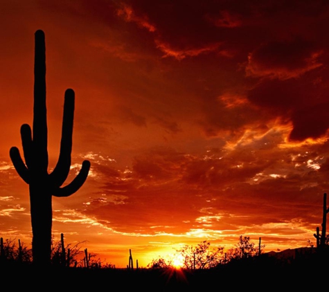 Discover Marana Visitor CTR - Marana, AZ