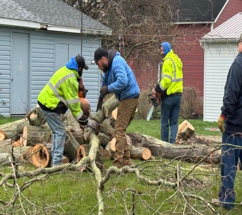 Star Tree Service - Waterford, PA