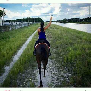 American Horse Trail - Southwest Ranches, FL