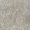 Red Dog Carpet Cleaning - Carpet & Rug Cleaners