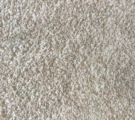 Red Dog Carpet Cleaning - Kearney, NE