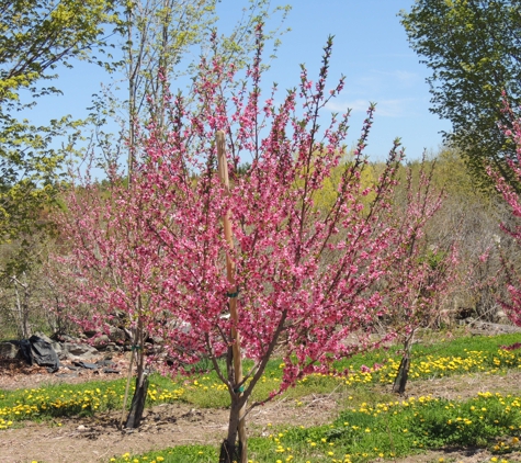 Clearview Farm - Sterling, MA