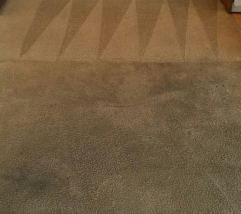 Full House Carpet Cleaning - Westminster, CO