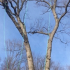 Keystone Tree Techs