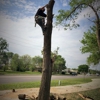 Montgomery Tree Service gallery